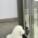 겟잇뷰티네일 네이버블로그