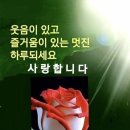 진또배기ㅡ 이찬원 노래ㅡ 오빠한번믿어봐 디오 노래ㅡ 영원한나의사랑 김희진 노래ㅡ 여수 오동도 ㅡ 유람선 타고 유람 ㅡ 이미지