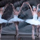 라이프시스 이미지