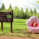 쌍암동산 이미지