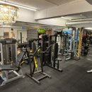 골든 피티 이미지