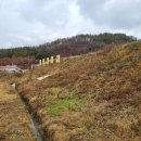 단강낚시터 이미지