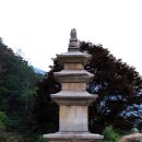 수몰이주기념관 Daum카페