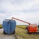 김제광활간척지쌀 이미지