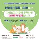 자진신고