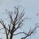 율곡어린이공원 이미지