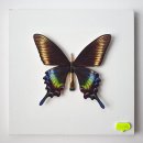 디자인팝호텔 이미지