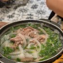 하노이 쌀국수 그리고 카레 티스토리