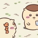애니커피