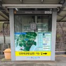 [2025-04] 괴로워도 슬퍼도 낭만은 잃지 않기🫧