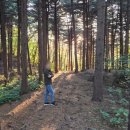 축령산휴양림입구 | 서울 근교 최강의 힐링 성지, 축령산 휴양림 1박 2일 생생 후기! (ft. 인기 비결과 아쉬운 차박 도전기)