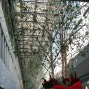 김정훈 챠밍복싱클럽 이미지