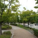 동아치과의원 이미지