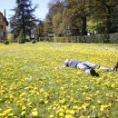 신창한의원 이미지