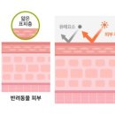 강아지와 고양이 이미지