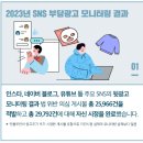 2023년 SNS 부당광고 모니터링 결과 발표 이미지