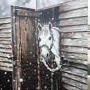 수원-0944 이미지