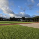 성읍초등학교 이미지