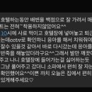 해피테일 이미지