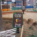 대구서평초등학교 이미지