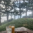허니문 하우스 | [제주 서귀포 카페] 수리남 촬영지! 오션뷰 맛집 ‘허니문하우스’ 방문 후기