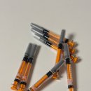 수정쉼터휴게소 | [난임후기] 인공수정시술 (1차) 비용, 결과, 피검사 수치