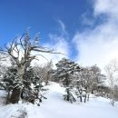 눈과 함께 이미지