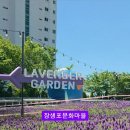달고래정원 네이버블로그
