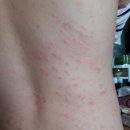 도현한의원 이미지