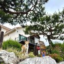 설레임 스토리 펜션 이미지