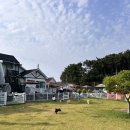 소라잡는댕댕이 | 안면도애견펜션 소라잡는댕댕이펜션 1박2일 여행 후기