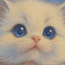 랄라스윗(lalla sweet) 이미지