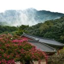 동호리농장 이미지