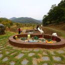 황새가족과 황새알 이미지