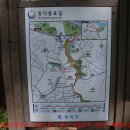 사육신묘 산책로 Daum카페