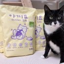 4067 | 고양이 카사바 모래 : 아끼묘 가는입자 사용 후기