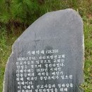 한국 천주교회의 교회사 살펴보기 4. 최초 신학생, 기해박해, 최초 성직자, 병오박해, 82명 가경자 선포, 경신박해, 병인박해 이미지