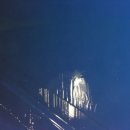 코팅나라 이미지