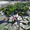 대가야문화누리 이미지