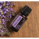 세이지 필라테스 이미지