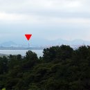 청산사슴농원 네이버블로그