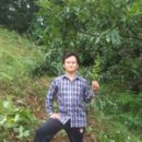 백세건강원 이미지