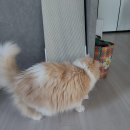 두잇야호