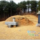 신호묘 이미지