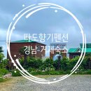 파도향기펜션 이미지