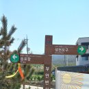전북,부안 변산마실길 걷기를 다녀왔습니다(4월13일,토) 이미지