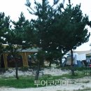 유원시설 이미지