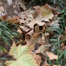 명옥헌한의원 이미지