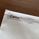 젠솔 이미지