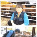 배꽃한우농장 이미지